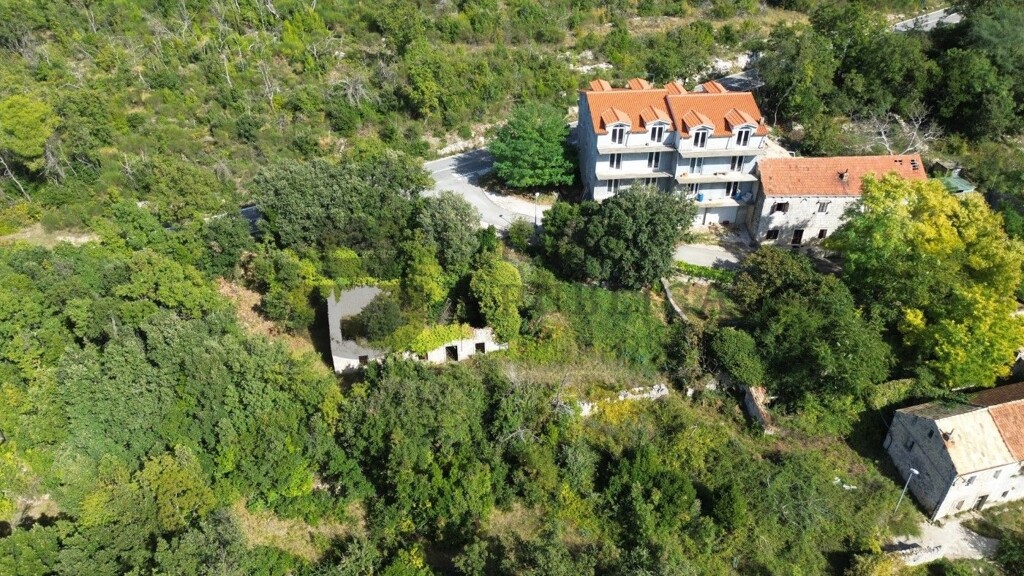 Image 6326166 - 2