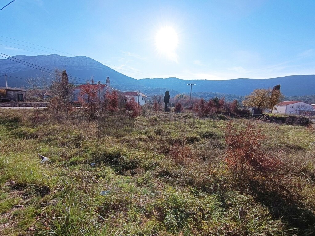 Image 6326168 - 8