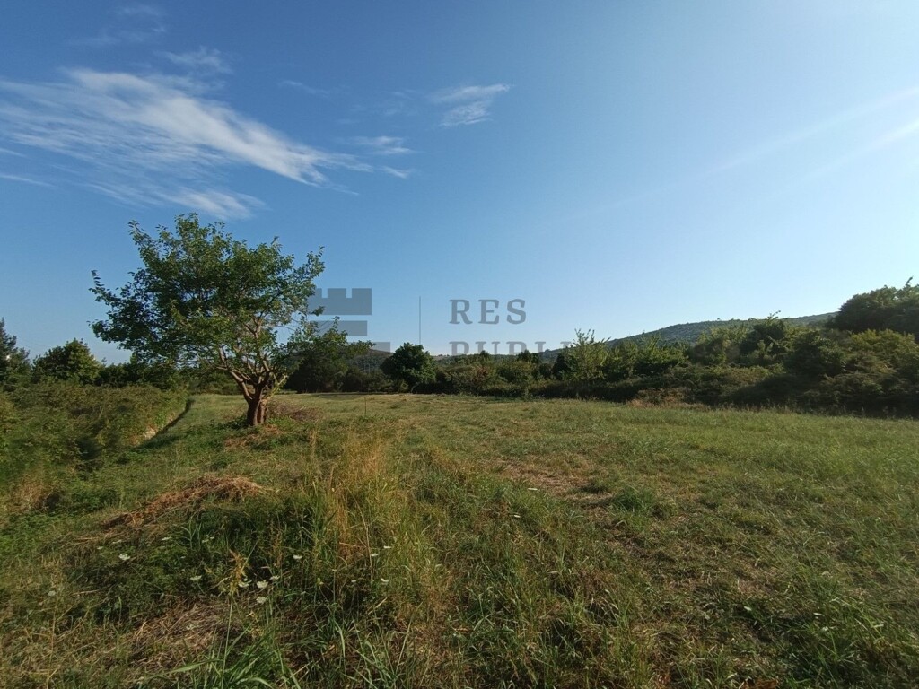 Image 6326173 - 2