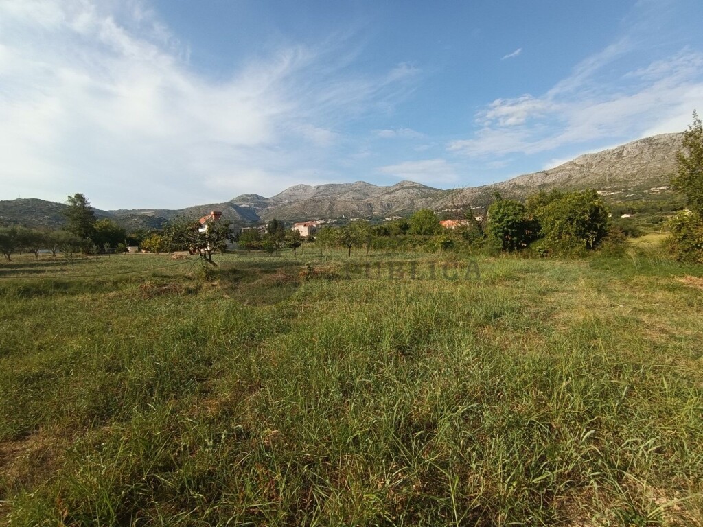 Image 6326173 - 1