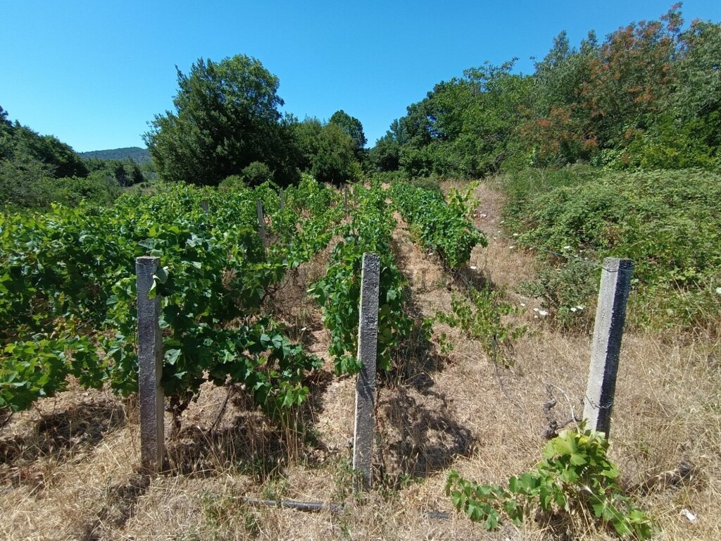 Image 6326174 - 4