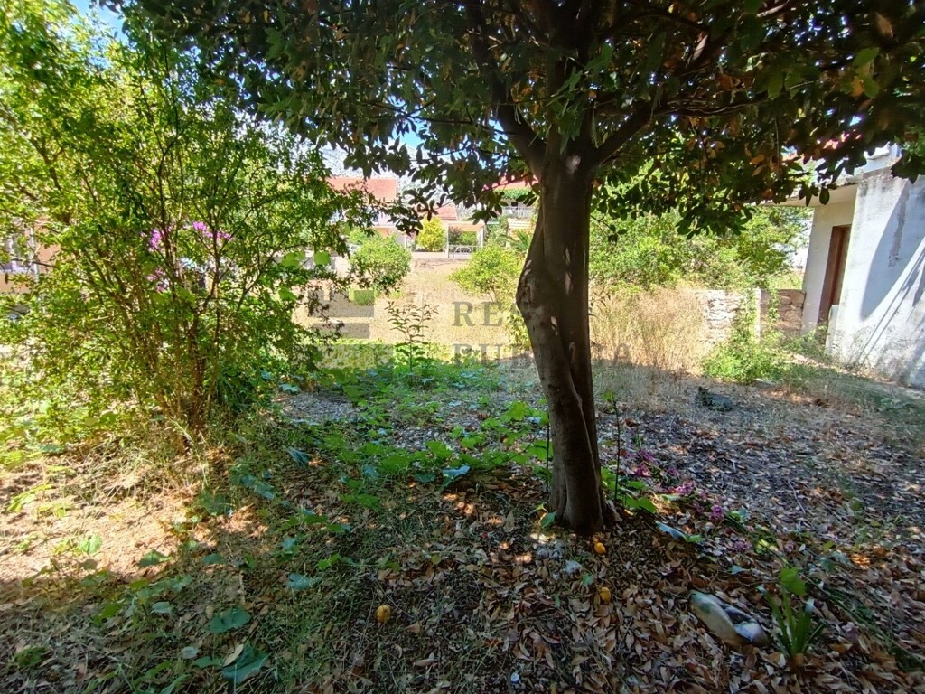 Image 6326176 - 16