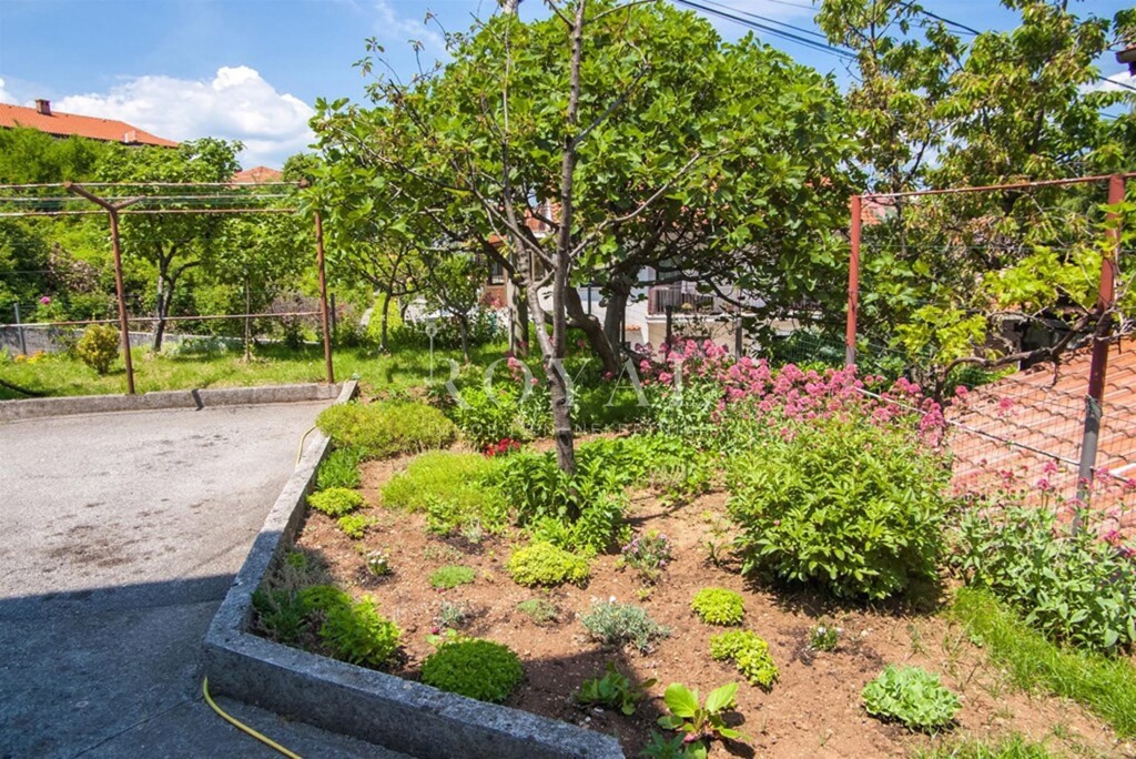 Image 6326261 - 4