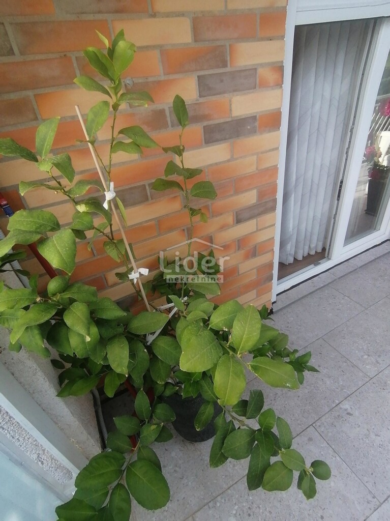 Image 6326414 - 13