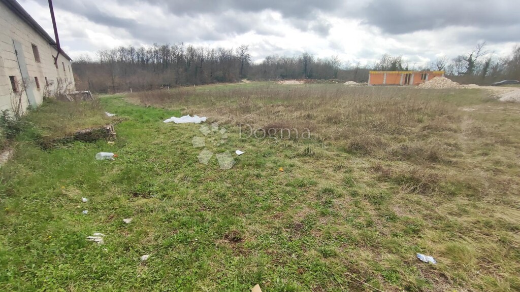 Image 6326448 - 3