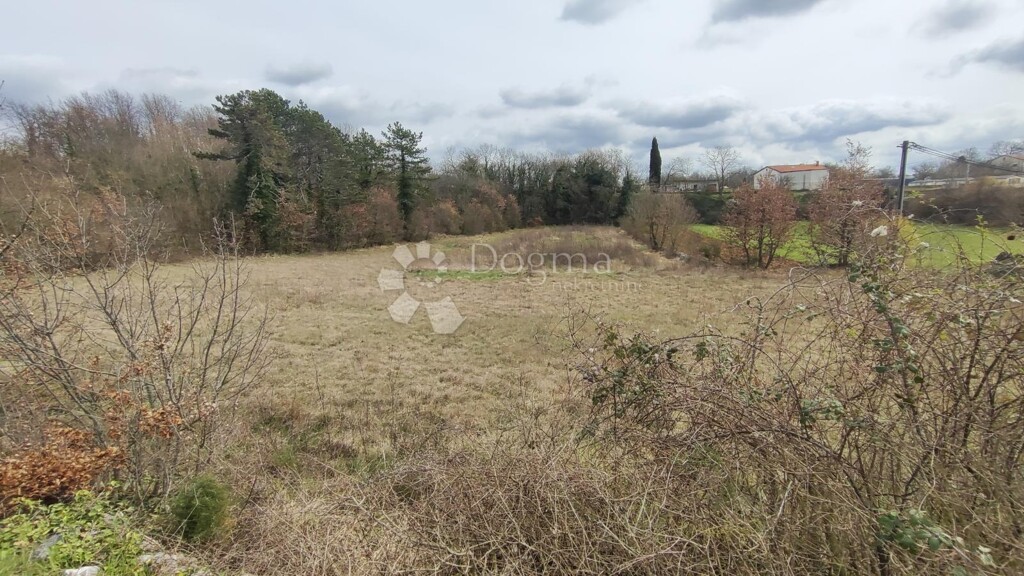 Image 6326455 - 2
