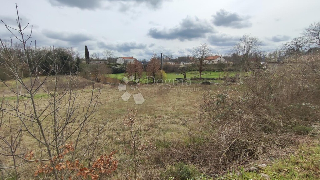 Image 6326455 - 12