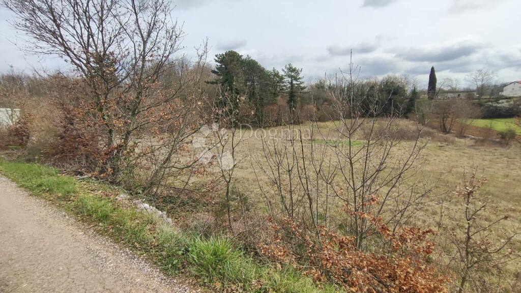 Image 6326455 - 3