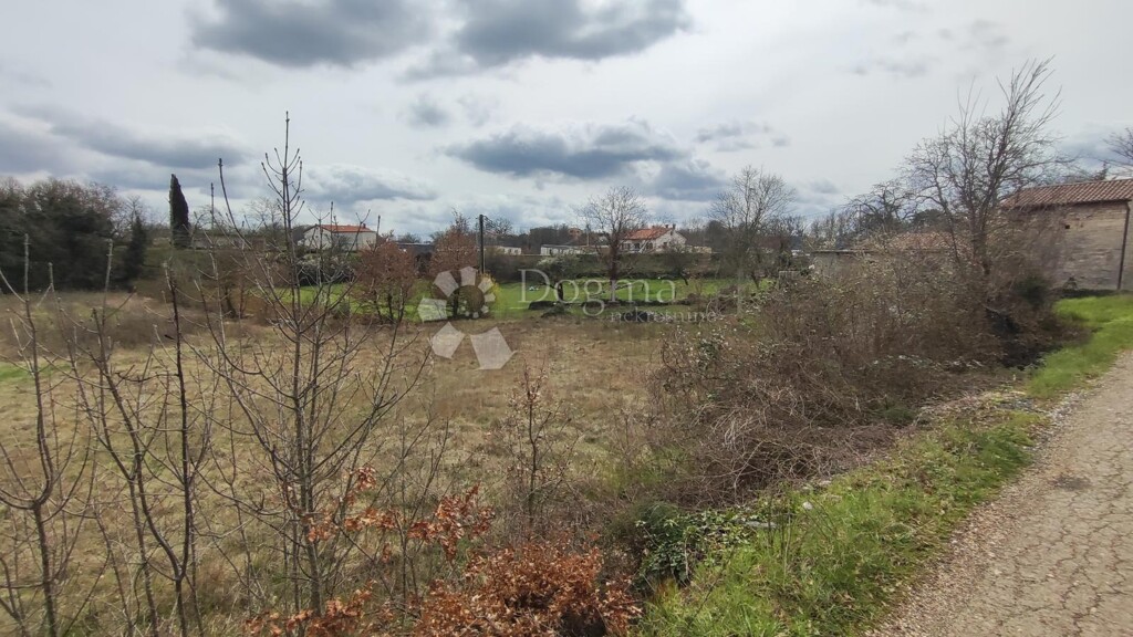 Image 6326455 - 4