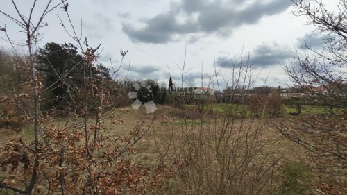 Thumbnail 6326455 - 11
