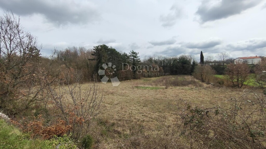 Image 6326455 - 9