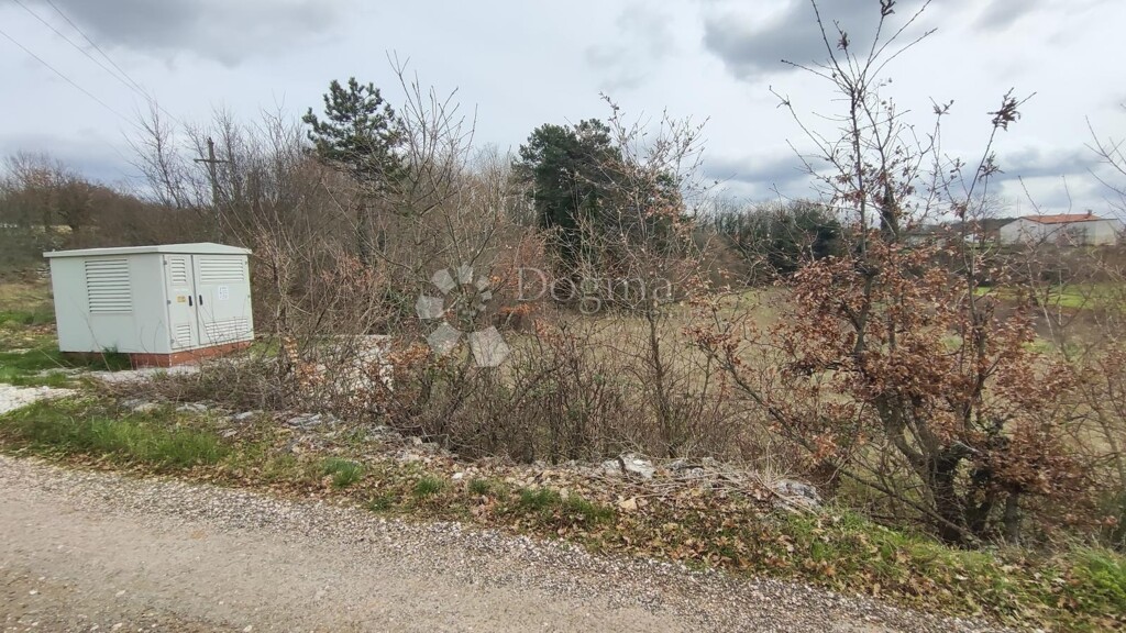Image 6326455 - 10