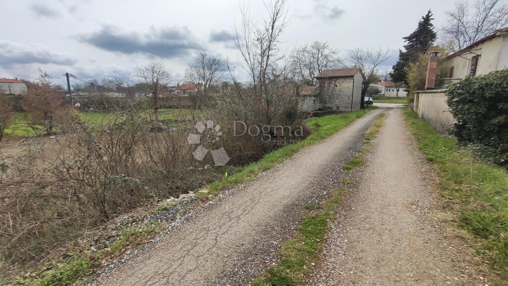 Image 6326455 - 8