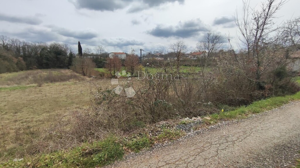 Image 6326455 - 7