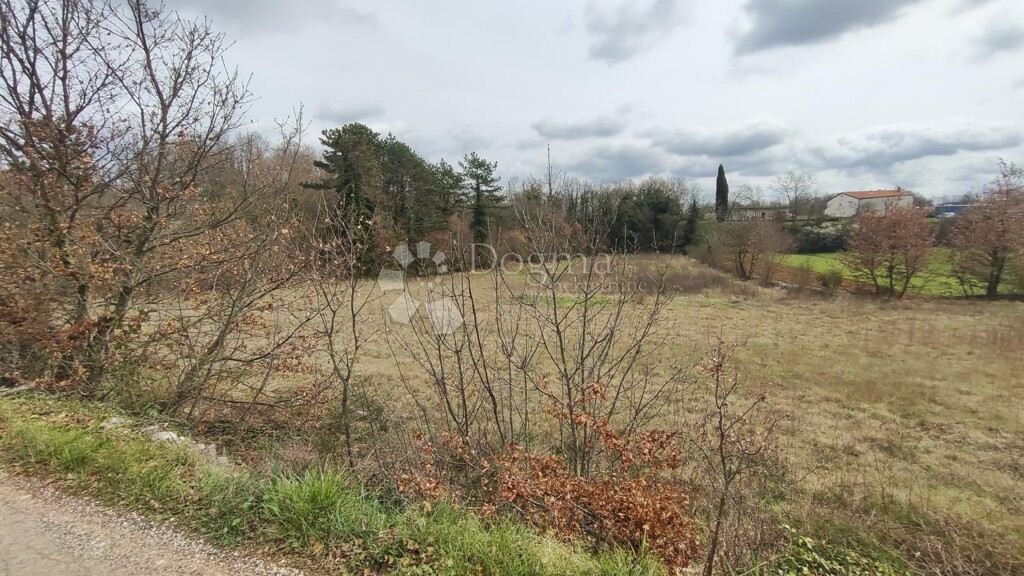 Image 6326455 - 6