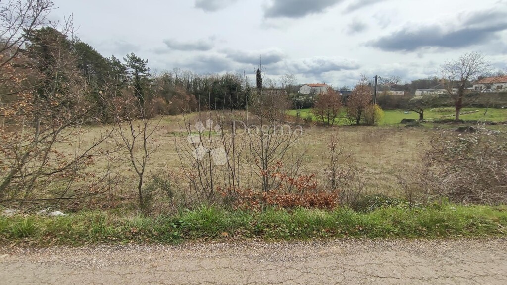 Image 6326455 - 5