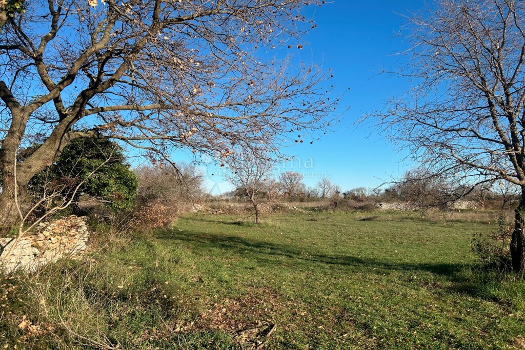 Image 6326457 - 4