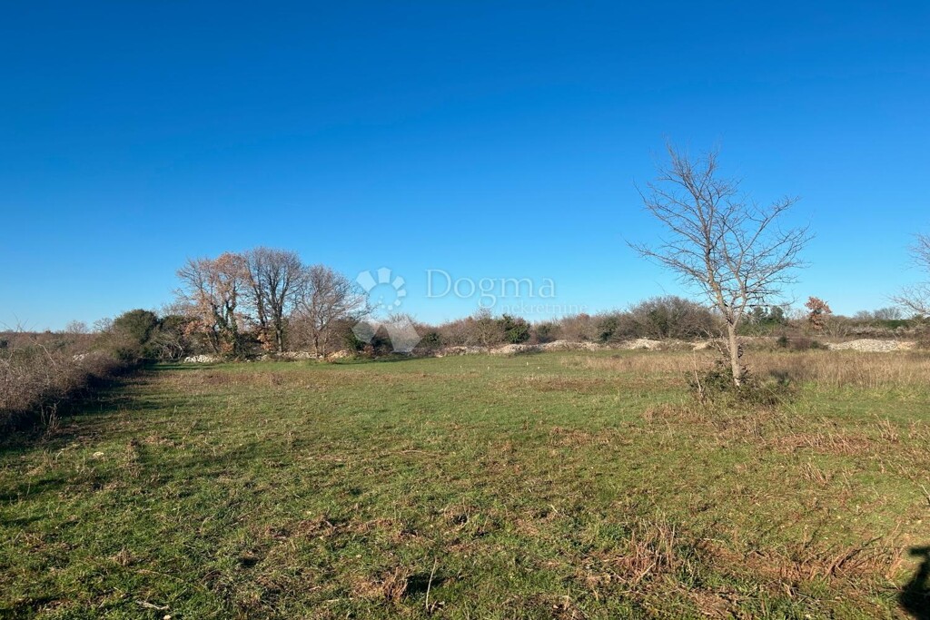 Image 6326460 - 4