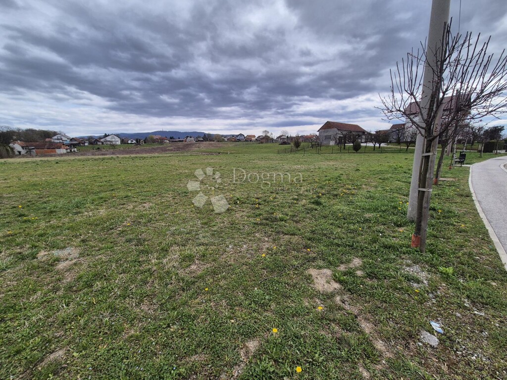 Image 6326464 - 1