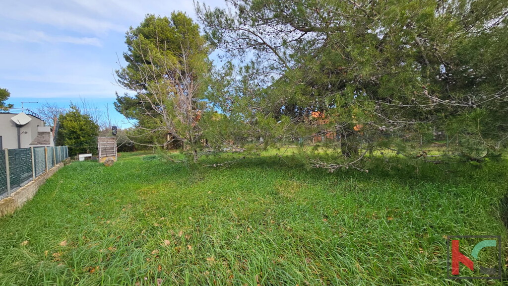 Image 6326476 - 2