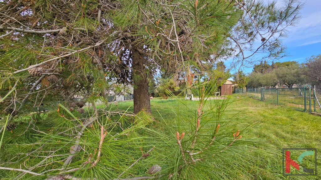 Image 6326476 - 3
