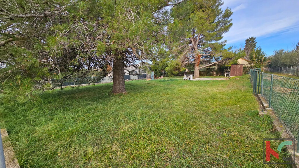Image 6326476 - 1