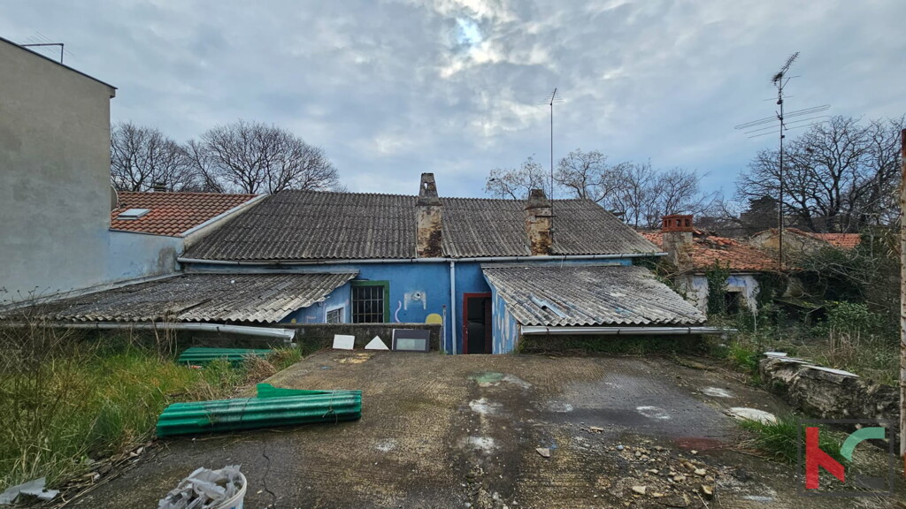 Image 6326477 - 8