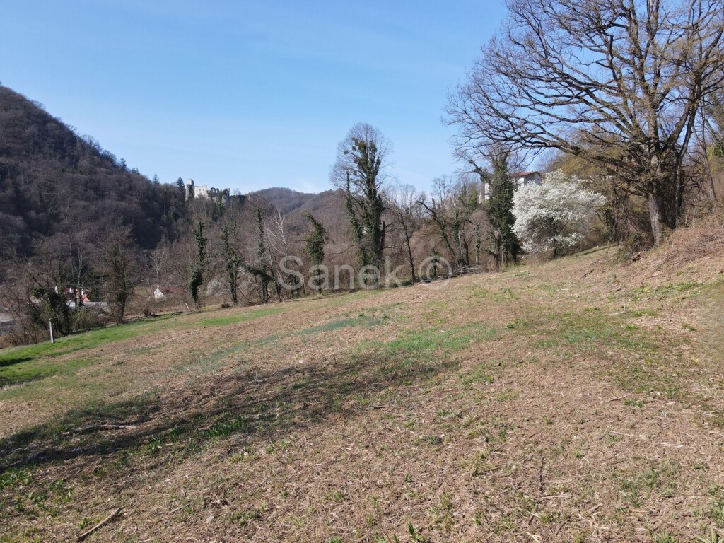 Image 6326520 - 8