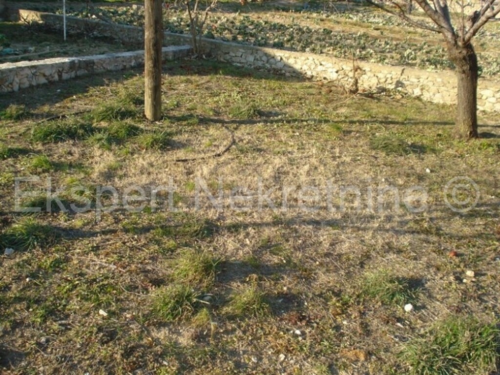 Image 6326564 - 8