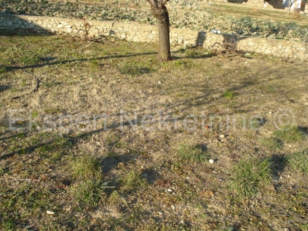 Image 6326564 - 9