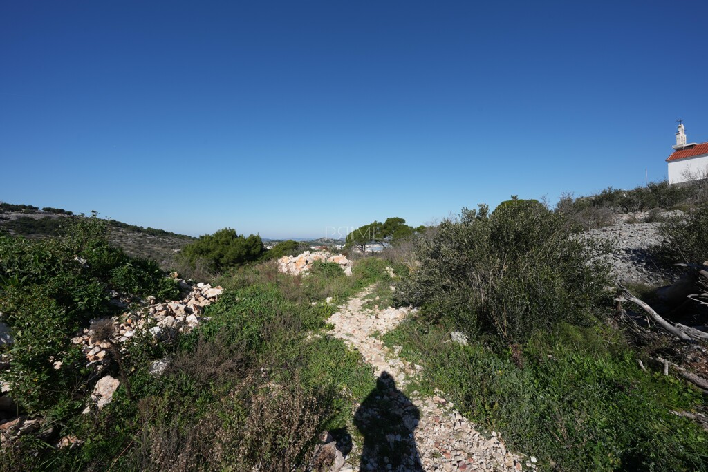 Image 6326909 - 8