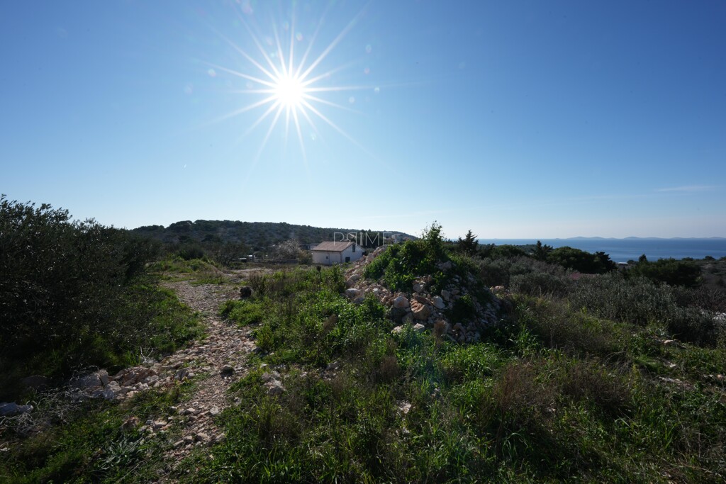 Image 6326909 - 14