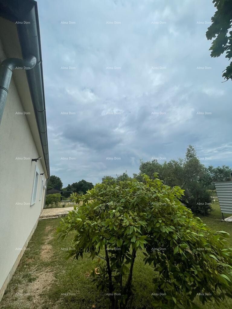 Image 6326950 - 5