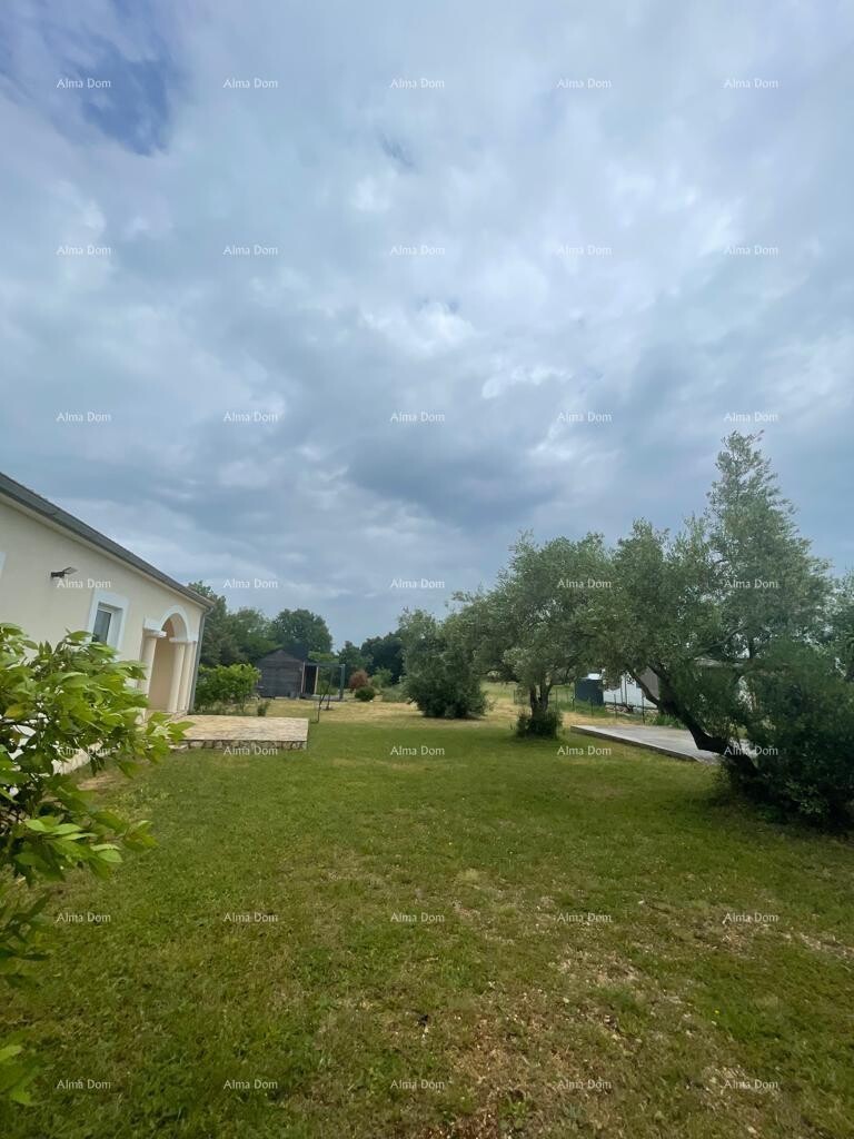 Image 6326950 - 11