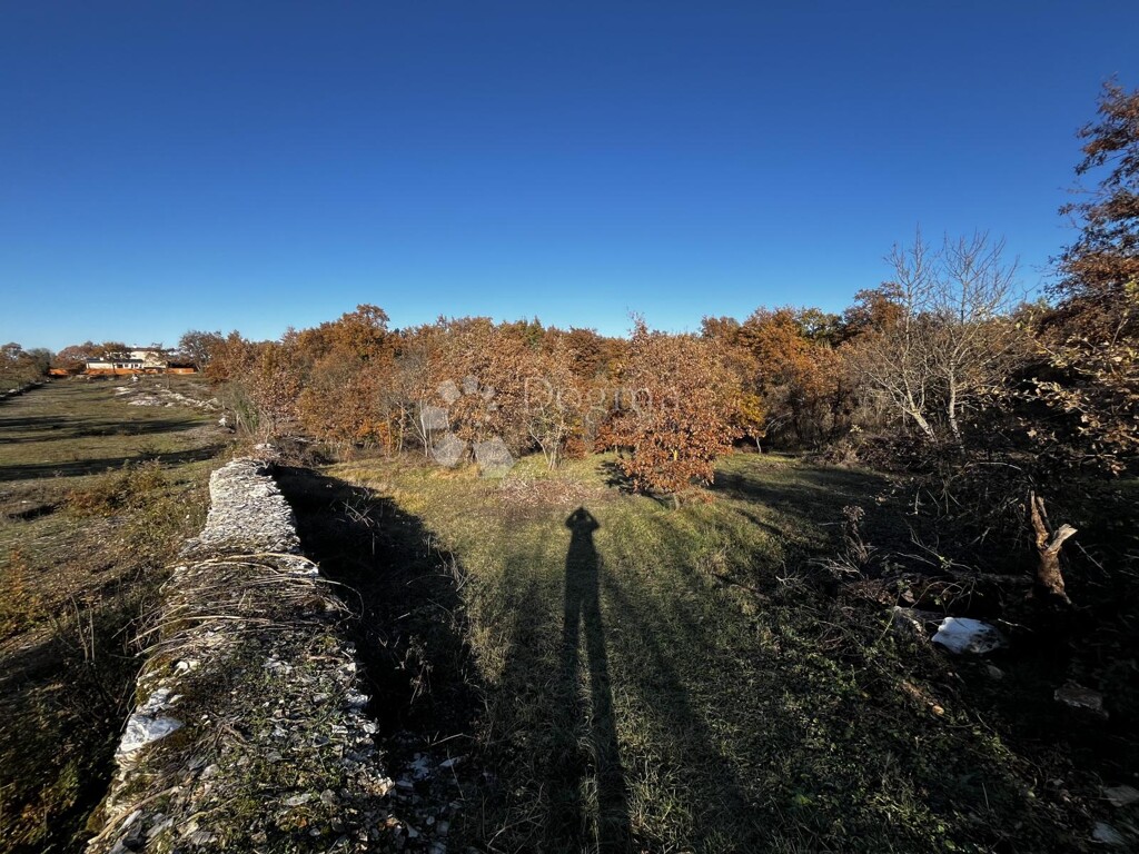 Image 6327063 - 4