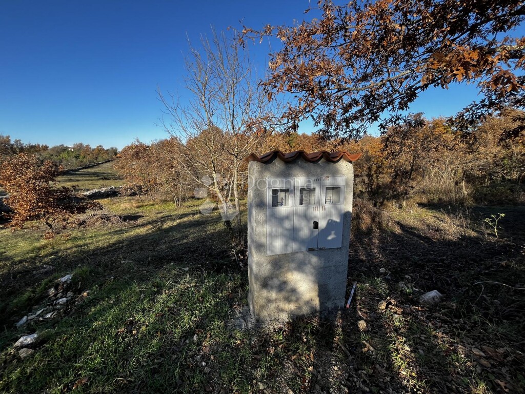 Image 6327063 - 3