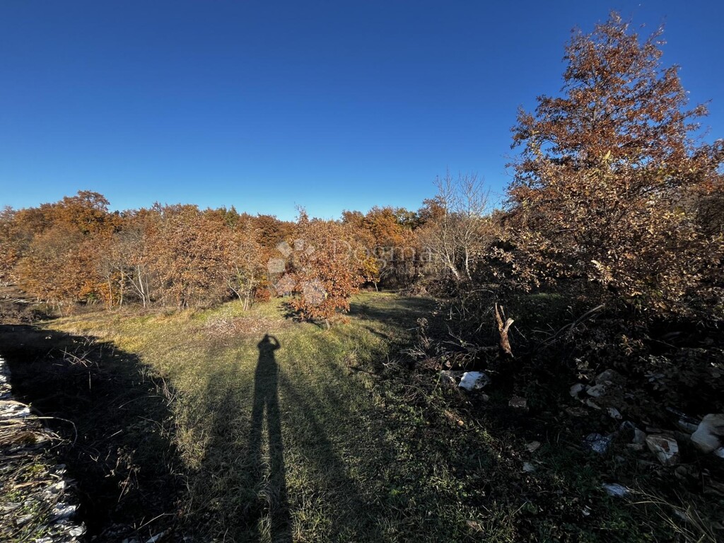 Image 6327063 - 5