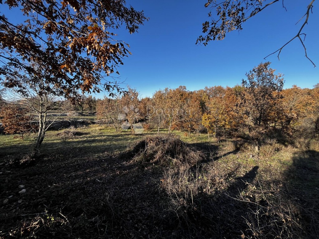 Image 6327063 - 2
