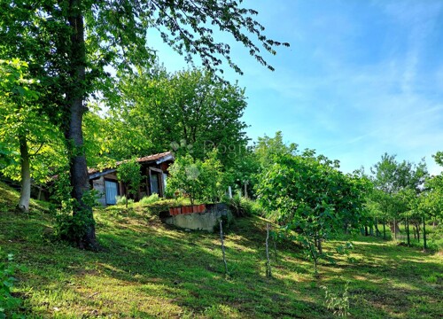 Thumbnail 6327065 - 1