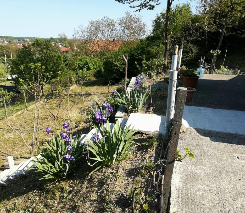 Image 6327065 - 10