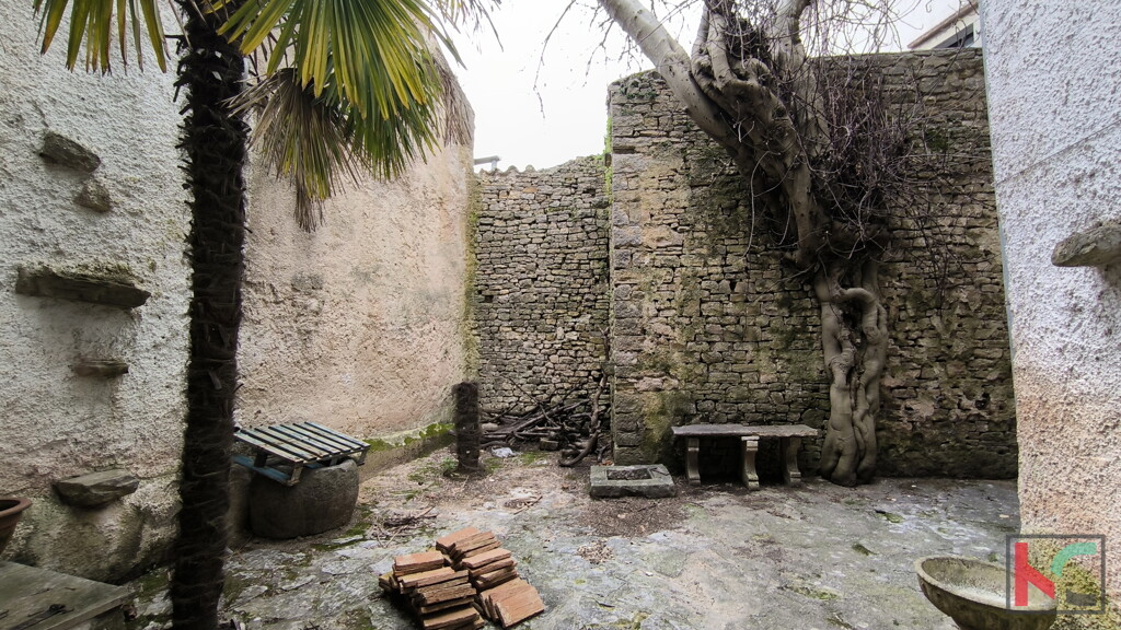 Image 6327086 - 22