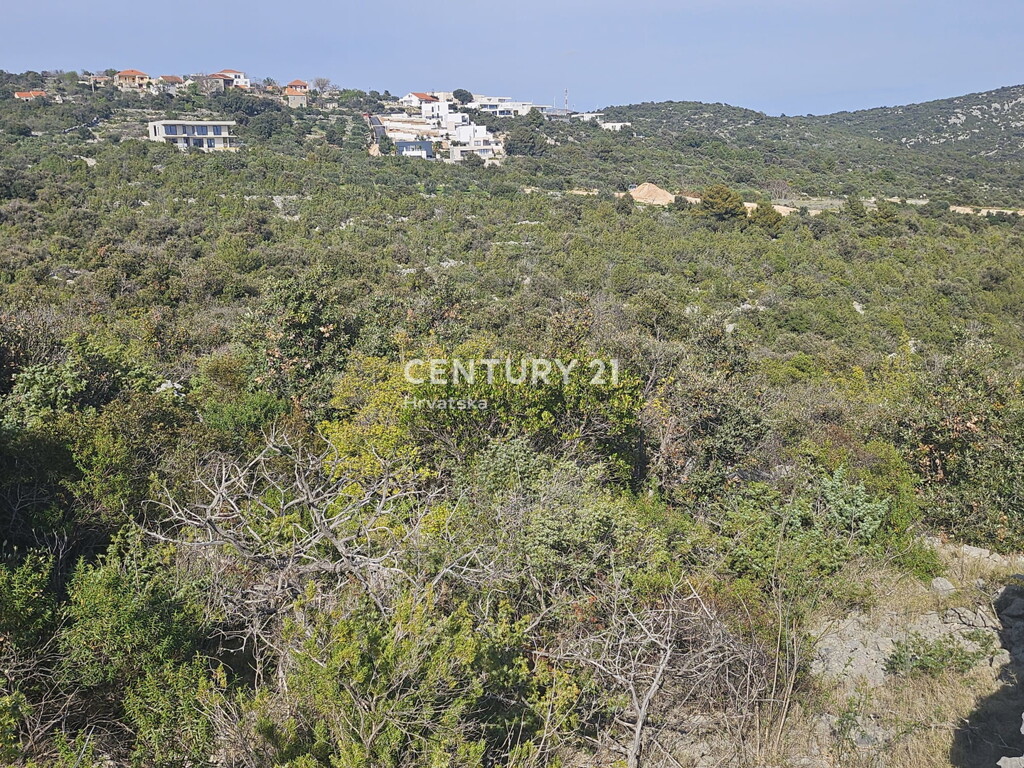 Image 6327176 - 14