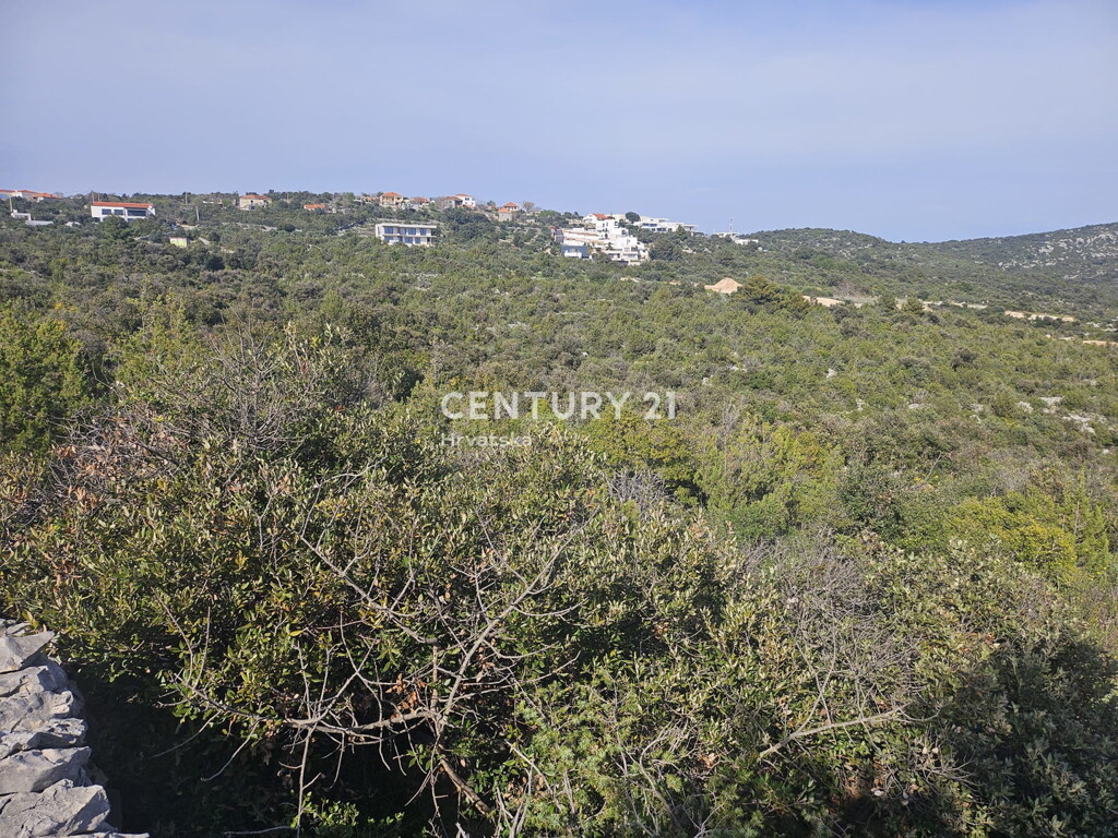 Image 6327176 - 17