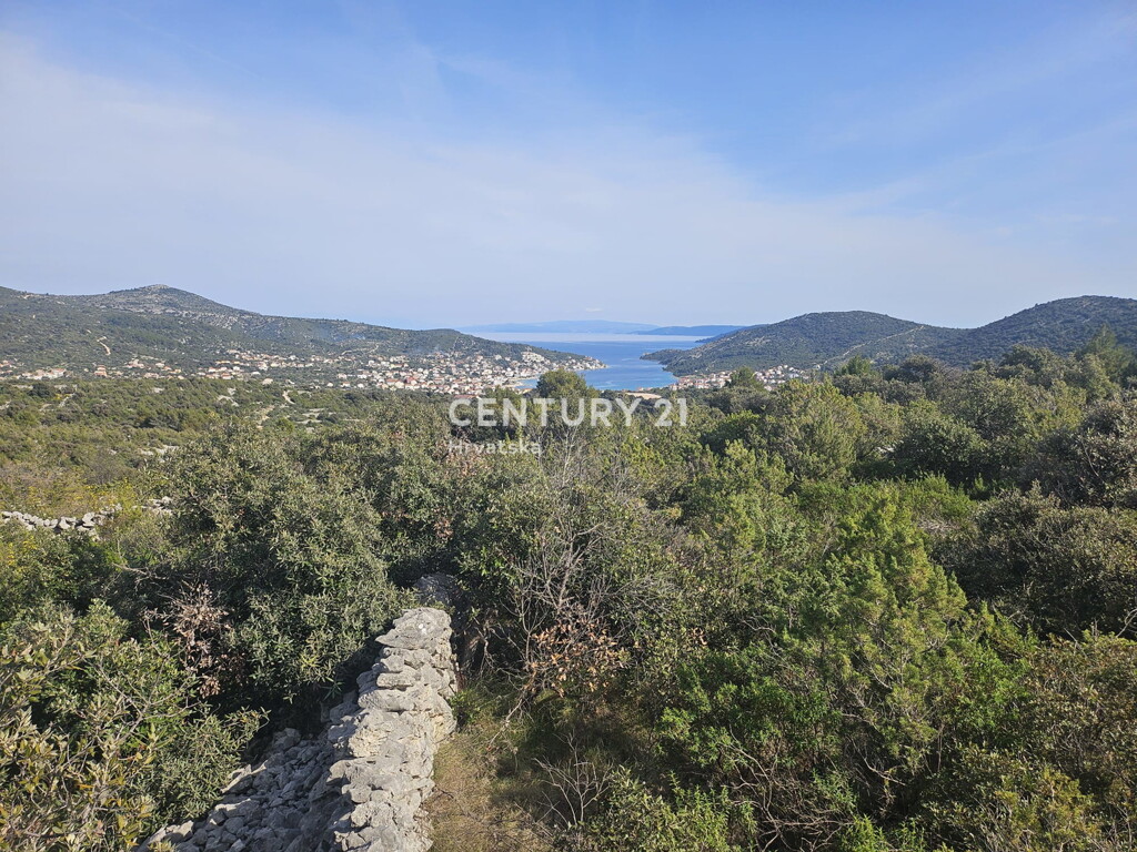 Image 6327176 - 10
