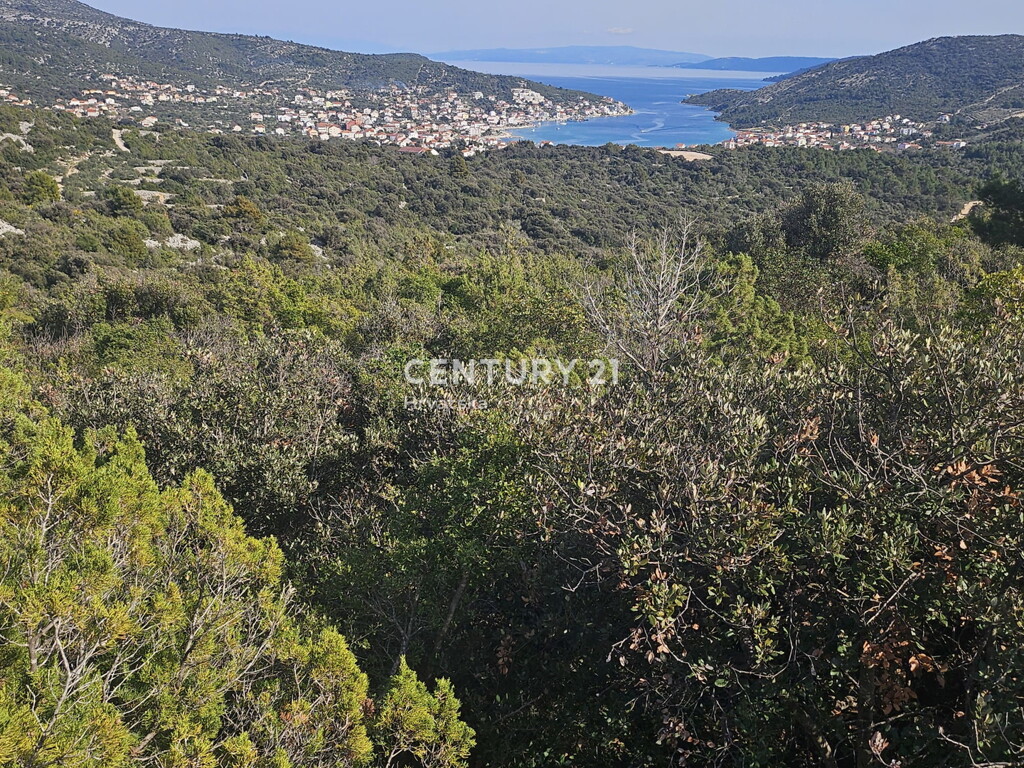 Image 6327176 - 6