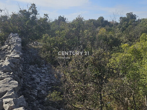 Thumbnail 6327176 - 11