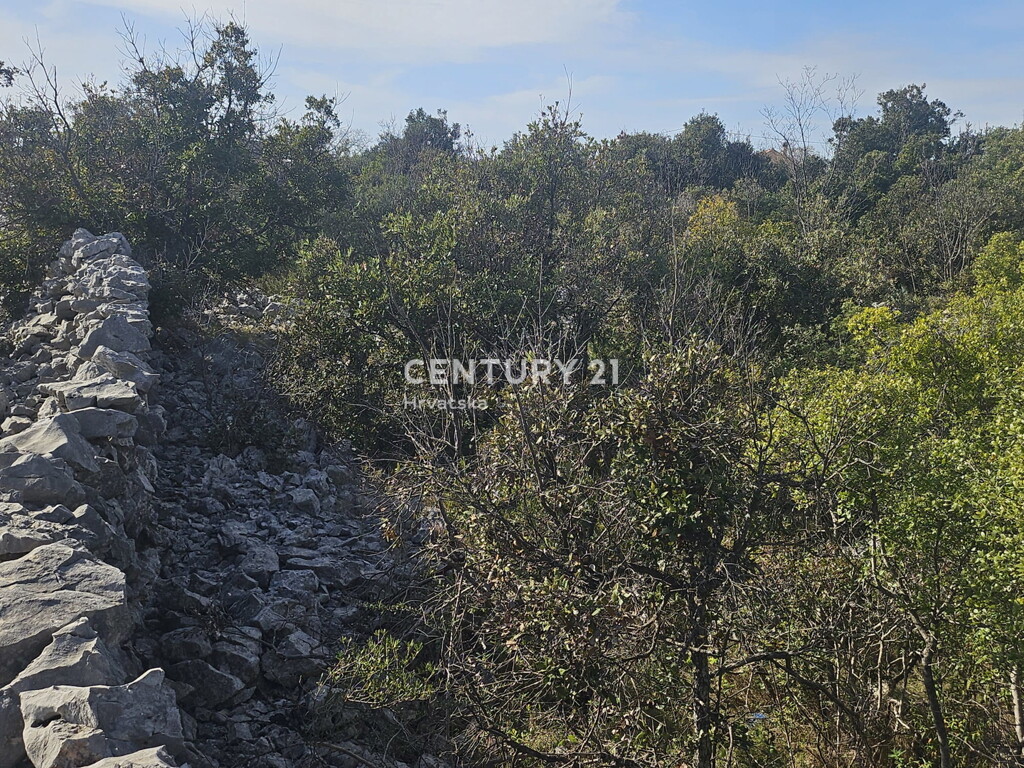 Image 6327176 - 11