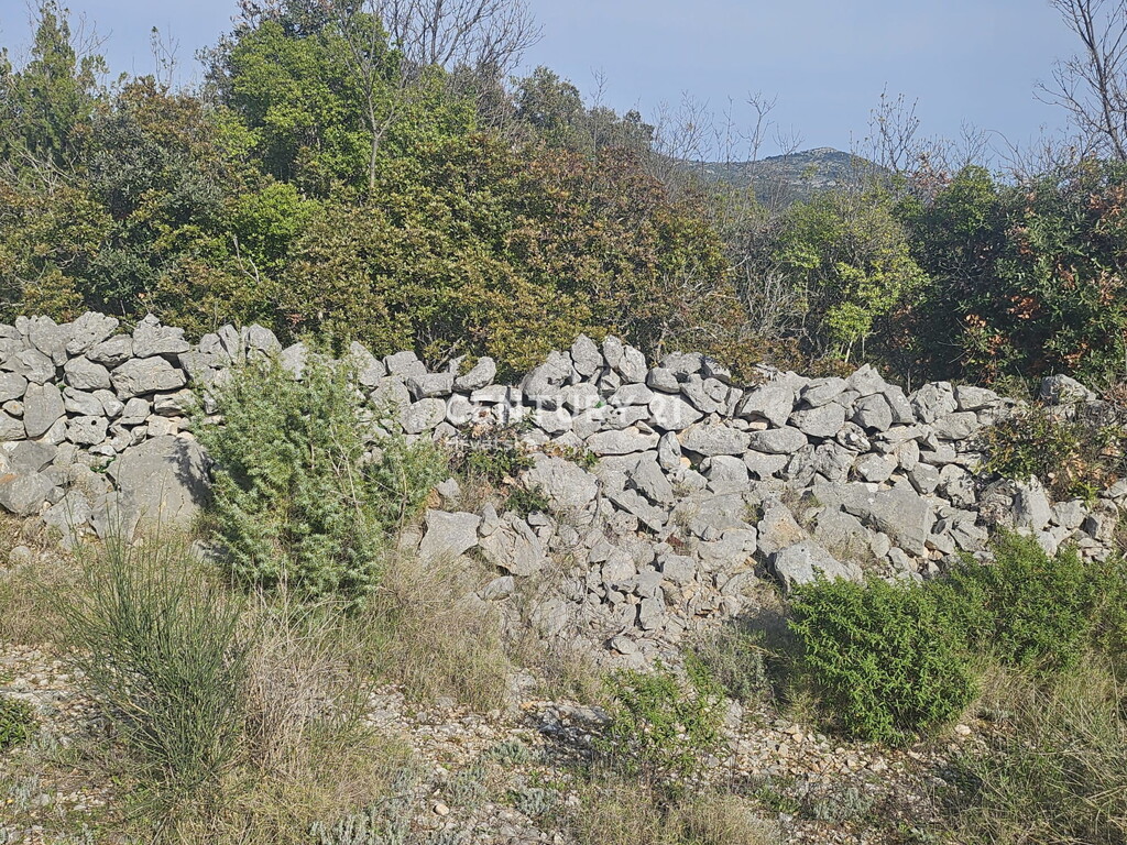 Image 6327176 - 3