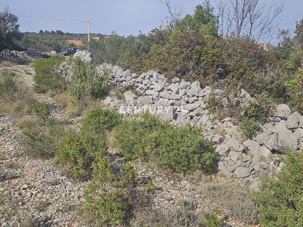Image 6327176 - 7