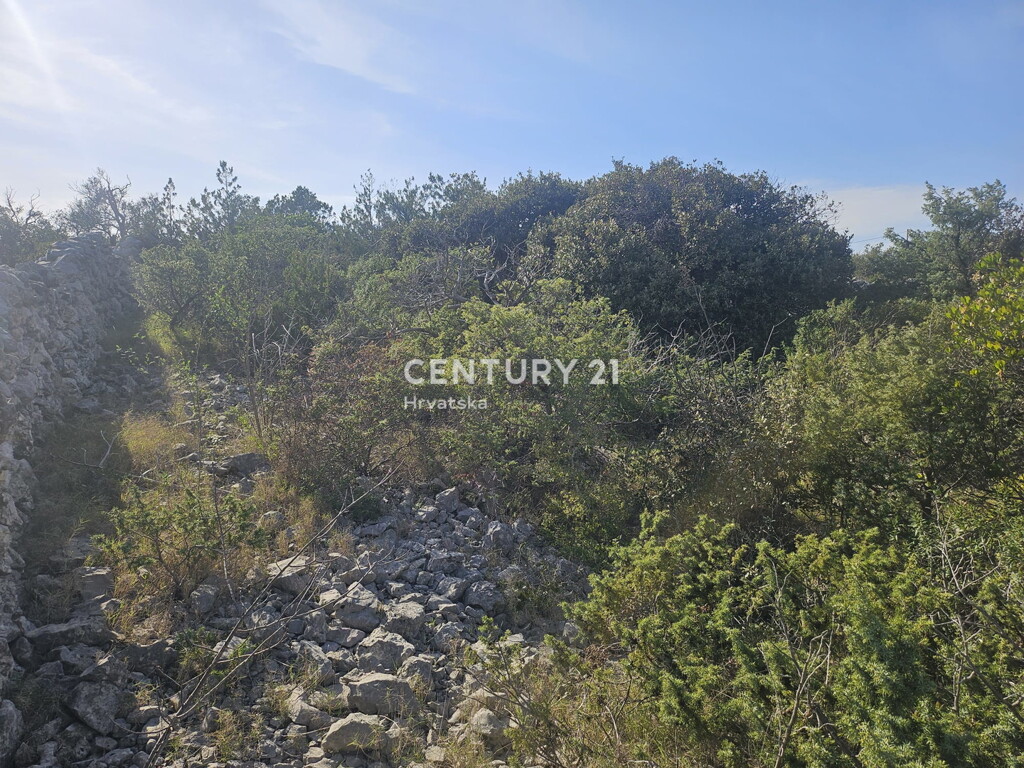 Image 6327176 - 18